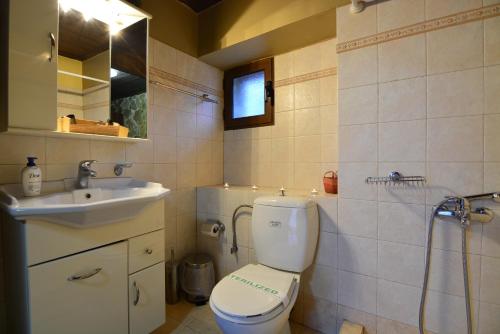 La salle de bains est pourvue de toilettes et d'un lavabo. dans l'établissement Erofili, à Kato Trikala Korinthias