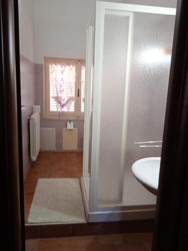 a bathroom with a shower and a sink and a window at Le Ortensie in Bono