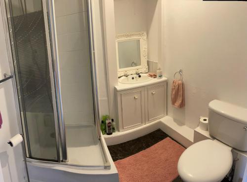 a bathroom with a shower and a sink and a toilet at The Bognie Inn in Huntly
