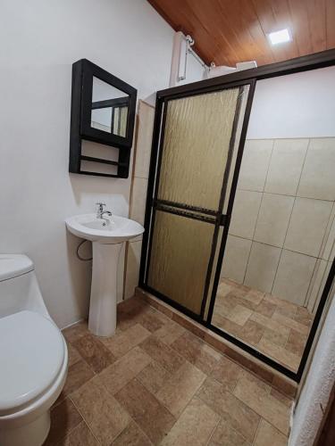 a bathroom with a shower and a toilet and a sink at Cabinas Toucan in Chachagua