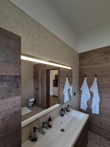 a bathroom with a sink and a large mirror at Villa Freska in Rogaška Slatina