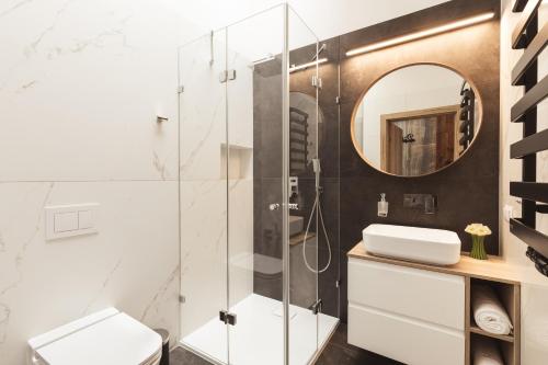 a bathroom with a shower and a toilet and a mirror at Apartament Stary Drewniany Białka Ski Resort -obok Termy Bania i Kotelnica in Białka Tatrzańska