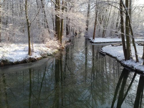 a river in a snow covered forest with trees at Ferienapartments Spreewaldwiesen in Vetschau