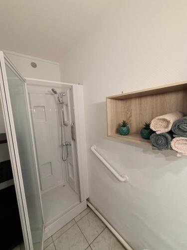 a bathroom with a shower and a toilet and towels at Le pensionnat de Jeanne in Domrémy-la-Pucelle