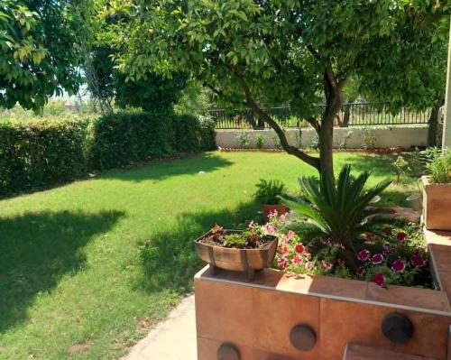 a garden with a tree and flowers in a yard at Pelion Malaki- Casa Verde in Malaki