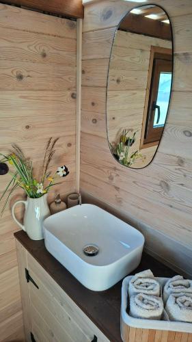 a bathroom with a sink and a mirror at TinyHouse pod Tatrami in Nižná Šuňava