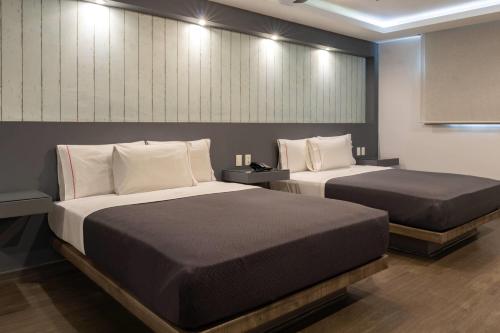 a bedroom with two beds in a room at Hotel MX congreso CDMX, Trademark Collection by Wyndham in Mexico City
