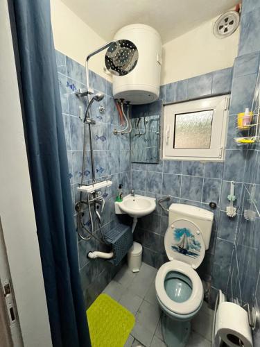 a bathroom with a toilet and a sink at Vila Maša in Utjeha