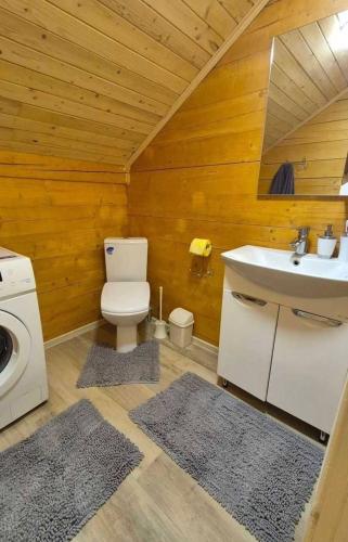 a bathroom with a toilet and a sink and a washing machine at Forest House in Yablunytsya