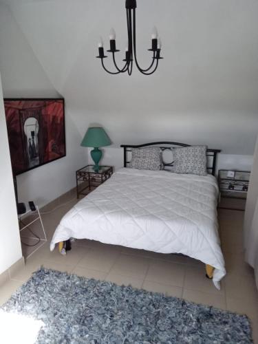 a bedroom with a bed and a chandelier at Chambre Ploeren in Ploeren