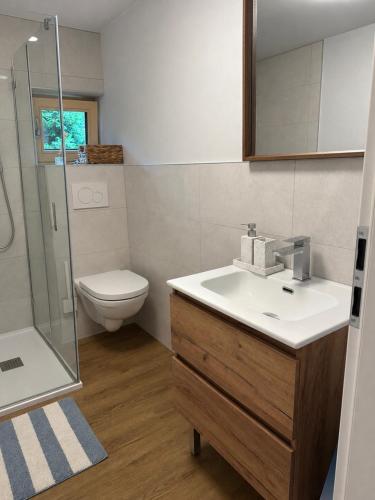 a bathroom with a sink and a shower and a toilet at Mezi Smrky in Bohostice