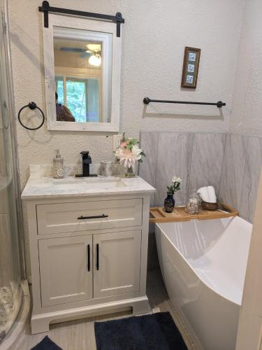 a bathroom with a sink and a tub and a mirror at Country side house with with cozy 3 bedrooms and 2 bath in Minneola
