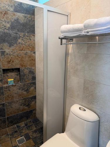 a bathroom with a toilet and a shower at Hotel Solé Plaza Guadalajara in Guadalajara
