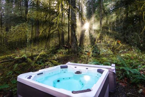 eine Badewanne mitten im Wald in der Unterkunft Forest Embrace in Glacier