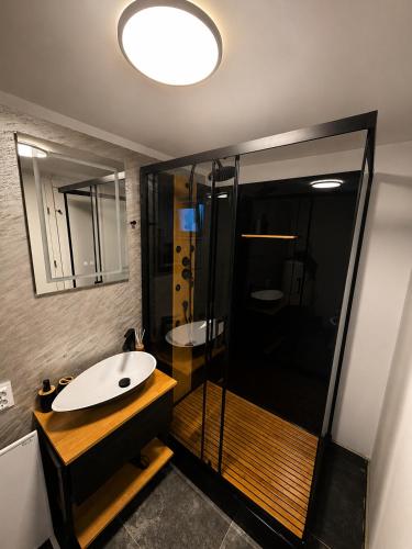 a bathroom with a sink and a glass shower at MR Tiny House - Private Parking in Roşu