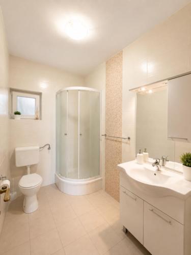a bathroom with a shower and a toilet and a sink at Apartments Marina in Lopar