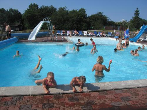 a group of people swimming in a swimming pool at Lyngholt Familiecamping in Allinge