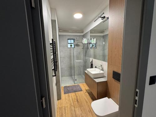 a bathroom with a toilet and a sink and a shower at Dom z Widokiem in Łączonek