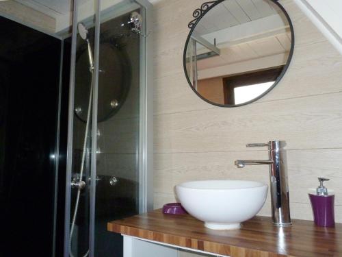 a bathroom with a sink and a mirror at La Rossignolerie - Cabane aux oiseaux in Chouzy-sur-Cisse