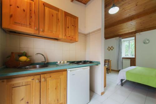 a kitchen with wooden cabinets and a sink at La rosa dei venti in Procida