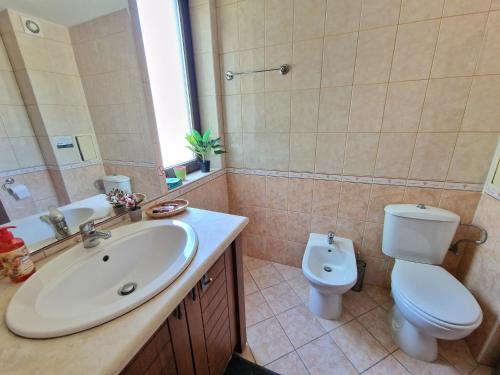 a bathroom with a sink and a toilet and a mirror at Kaliakria Garden in Topola