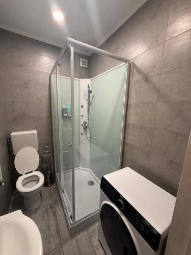 a bathroom with a shower and a toilet and a sink at B&B Legnago in Legnago