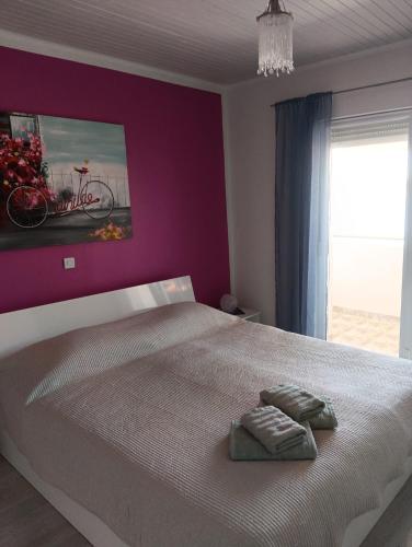 Oaza Planjke - Apartman Viola
