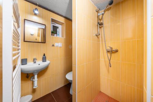 a bathroom with a sink and a toilet at Horská chata ERIK in Levoča