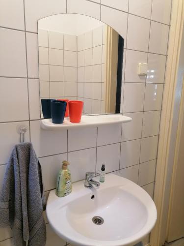 a bathroom sink with two cups on a shelf at Luna Vendégház in Ipolyvece