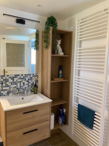 a bathroom with a sink and a mirror at La maison du bienvenu in Namur