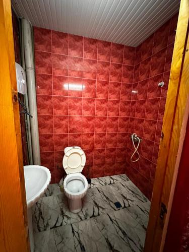 a bathroom with a toilet and a sink at Ararat in Ozurgetʼi
