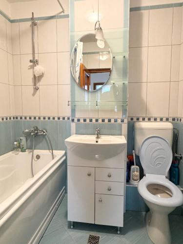 a bathroom with a sink and a toilet and a bath tub at Sinteu 3 bedroom apartment - 6PAX in Şinteu