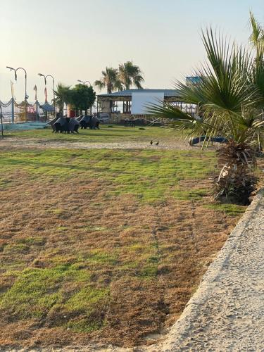 a field with palm trees and a building on a beach at شقق قرية النورس in Ismailia