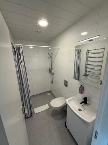 a white bathroom with a toilet and a sink at Sefdalur in Höfn