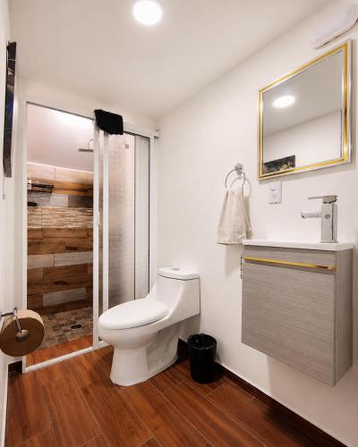 a bathroom with a toilet and a sink and a mirror at Yui Loft cómodo para pareja o estancia tranquila in Pachuca de Soto