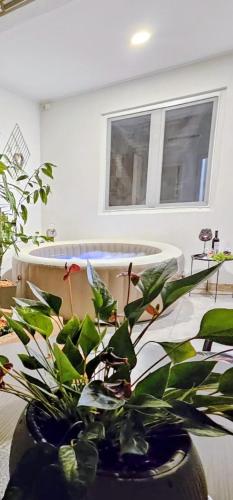 Apartman Ravlic