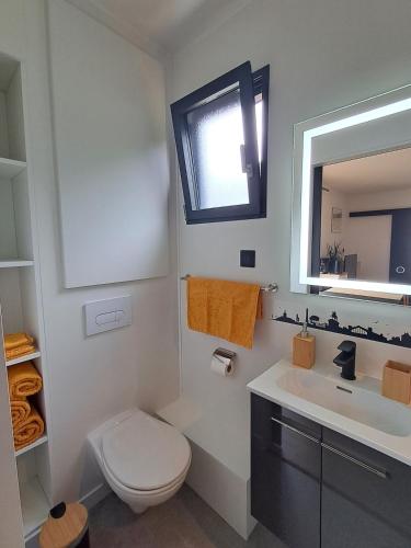 a bathroom with a toilet and a sink and a mirror at Studio Cotentin Evas'yon in Feugères