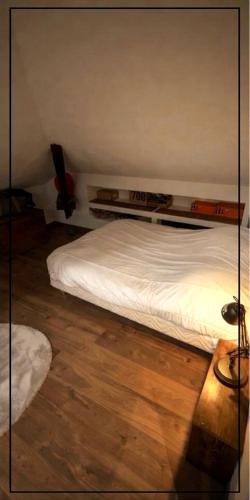 Exceptional loft Near Colmar center