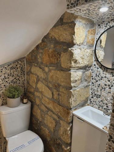 a bathroom with a toilet and a stone wall at George's Stonehouse in Samos