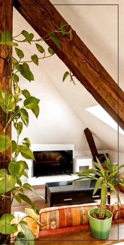 Exceptional loft Near Colmar center