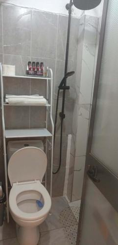 a bathroom with a toilet and a shower at Fatos in Pogradec