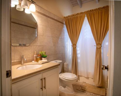 a bathroom with a toilet and a sink and a mirror at Carmich Place in Saint Johnʼs