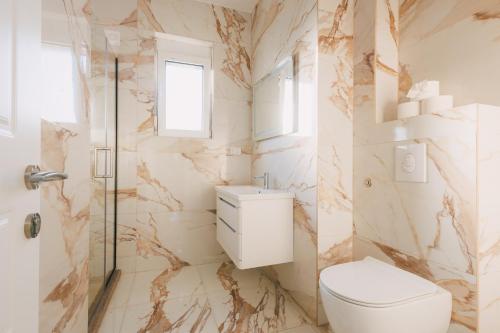 a bathroom with a toilet and a shower at Dëshira Apartments in Ulcinj