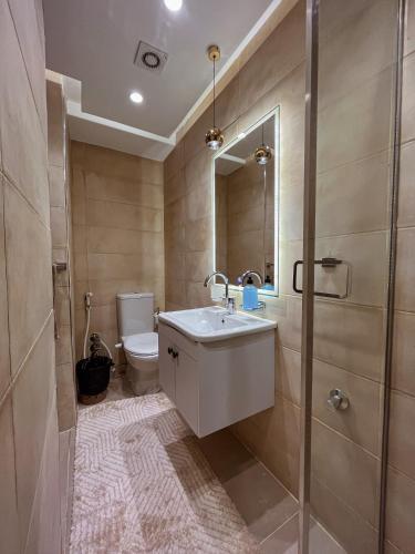 a bathroom with a sink and a toilet at Sydney DownTown-Cairo in Cairo