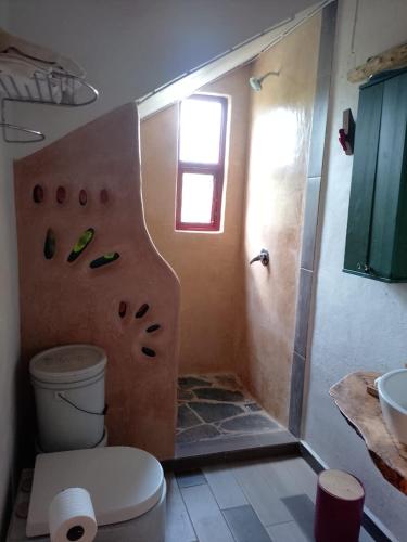 a bathroom with a toilet and a shower with a window at Off-grid mountain house with a view La Manchoza in Tapalpa
