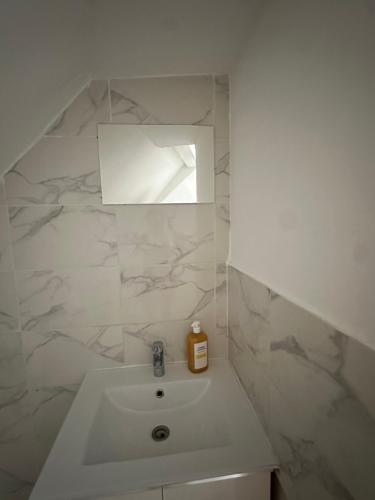 a white bathroom with a sink and a mirror at Alsacian home in Eckbolsheim