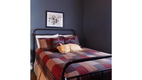 a dog laying on a bed in a bedroom at Fred Lambert in Cimarron