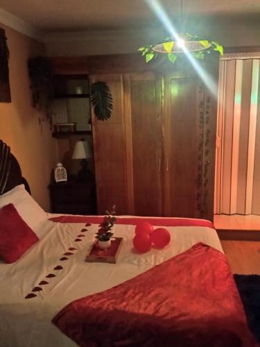 a bedroom with a bed with red pillows on it at Valle Narural in Manoguayabo