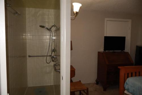 a bathroom with a shower with a glass door at Dodge Residence in Tucson