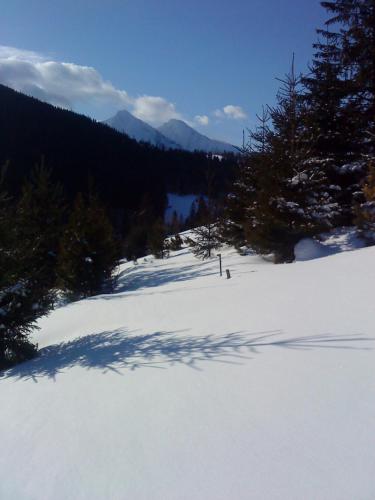 a shadow of a person in the snow at Goralturist in Ždiar
